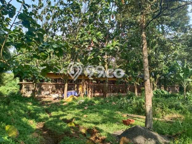Lahan Kosong Dijual di Cijeruk, Bogor, Luas 11590m2 Area Strategis Lahan Kosong Dijual di Cijeruk, Bogor, Luas 11590m2 Area Strategis