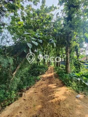 Lahan Kosong Dijual di Cijeruk, Bogor, Luas 11590m2 Area Strategis Lahan Kosong Dijual di Cijeruk, Bogor, Luas 11590m2 Area Strategis