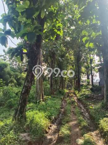 Lahan Kosong Dijual di Cijeruk, Bogor, Luas 11590m2 Area Strategis Lahan Kosong Dijual di Cijeruk, Bogor, Luas 11590m2 Area Strategis