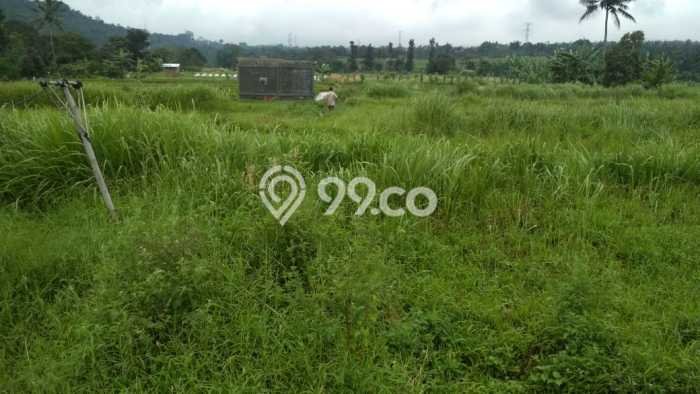 Kavling Tanah di Cugenang Dijual Luas 70000m2 Legalitas SHM Kavling Tanah di Cugenang Dijual Luas 70000m2 Legalitas SHM