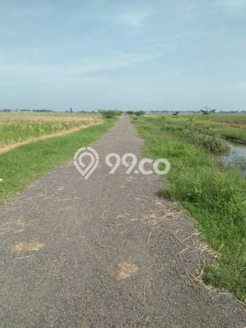 Tanah Dijual Lokasi Subang, Subang Luas 22501m2 Legalitas Aman Tanah Dijual Lokasi Subang, Subang Luas 22501m2 Legalitas Aman