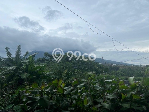 Tanah Kavling untuk Dijual di Prigen Pasuruan 657m2 Tanah Kavling untuk Dijual di Prigen Pasuruan 657m2