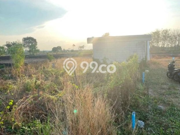 Dijual Tanah di Menganti Gresik Luas 100m2 - Dijual Tanah di Menganti Gresik Luas 100m2 -