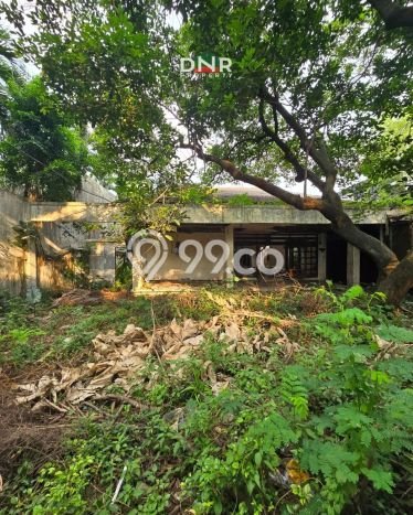 Hot Offer Hunian Premium Ideal dan Luas di Menteng, Jakarta Pusat Hot Offer Hunian Premium Ideal dan Luas di Menteng, Jakarta Pusat