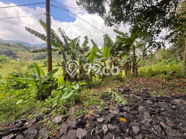 Dijual Tanah di Tomohon Tengah Tomohon Luas 600m2 SHM Dijual Tanah di Tomohon Tengah Tomohon Luas 600m2 SHM
