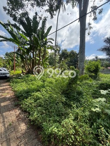 Untuk Dijual Tanah di Pineleng Minahasa Luas 1000m2 SHM Untuk Dijual Tanah di Pineleng Minahasa Luas 1000m2 SHM