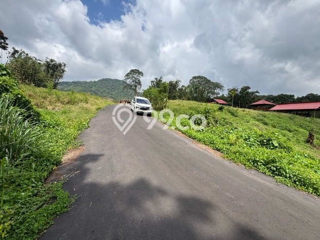 Tanah Dijual Lokasi Tomohon Barat, Tomohon dengan Luas Tanah 5000m2 dan Status SHM Tanah Dijual Lokasi Tomohon Barat, Tomohon dengan Luas Tanah 5000m2 dan Status SHM