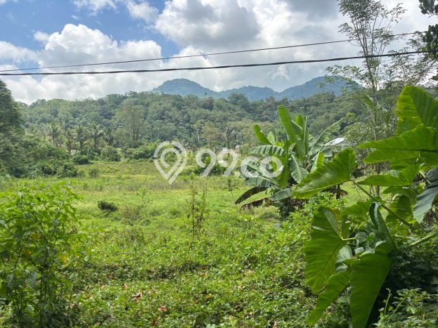 Dijual Tanah di Tomohon Tengah Tomohon Luas 600m2 SHM Dijual Tanah di Tomohon Tengah Tomohon Luas 600m2 SHM