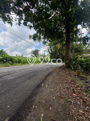 Dijual Tanah di Tomohon Tengah Tomohon Luas 600m2 SHM Dijual Tanah di Tomohon Tengah Tomohon Luas 600m2 SHM
