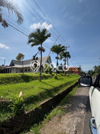 Untuk Dijual Tanah di Pineleng Minahasa Luas 1000m2 SHM Untuk Dijual Tanah di Pineleng Minahasa Luas 1000m2 SHM
