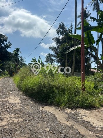 Untuk Dijual Tanah di Pineleng Minahasa Luas 1000m2 SHM Untuk Dijual Tanah di Pineleng Minahasa Luas 1000m2 SHM