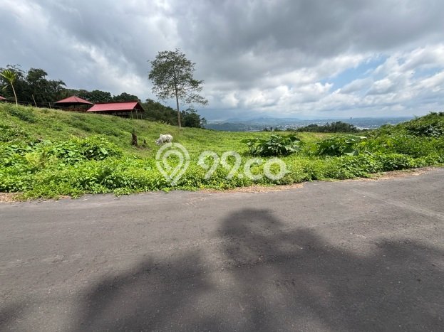 Tanah Dijual Lokasi Tomohon Barat, Tomohon dengan Luas Tanah 5000m2 dan Status SHM Tanah Dijual Lokasi Tomohon Barat, Tomohon dengan Luas Tanah 5000m2 dan Status SHM