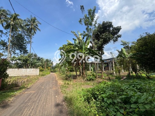 Untuk Dijual Tanah di Pineleng Minahasa Luas 1000m2 SHM Untuk Dijual Tanah di Pineleng Minahasa Luas 1000m2 SHM