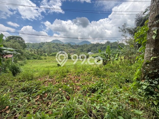 Dijual Tanah di Tomohon Tengah Tomohon Luas 600m2 SHM Dijual Tanah di Tomohon Tengah Tomohon Luas 600m2 SHM