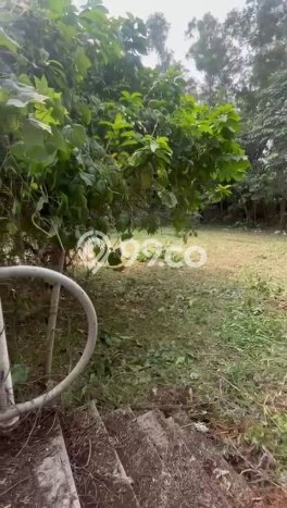 Lahan untuk Dijual Lokasi Jagakarsa, Jakarta Selatan Luas 4000m2 SHM Lahan untuk Dijual Lokasi Jagakarsa, Jakarta Selatan Luas 4000m2 SHM