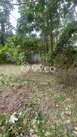 Lahan untuk Dijual Lokasi Jagakarsa, Jakarta Selatan Luas 4000m2 SHM Lahan untuk Dijual Lokasi Jagakarsa, Jakarta Selatan Luas 4000m2 SHM