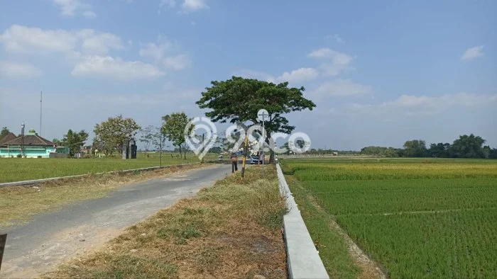 Lahan untuk Dijual di Delanggu Klaten Luas 1375m2 Lahan untuk Dijual di Delanggu Klaten Luas 1375m2