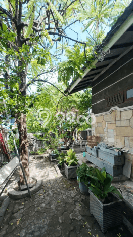 Rumah Idaman 4 Kamar Tidur Dekat Fasilitas Umum di Rungkut, Surabaya Rumah Idaman 4 Kamar Tidur Dekat Fasilitas Umum di Rungkut, Surabaya