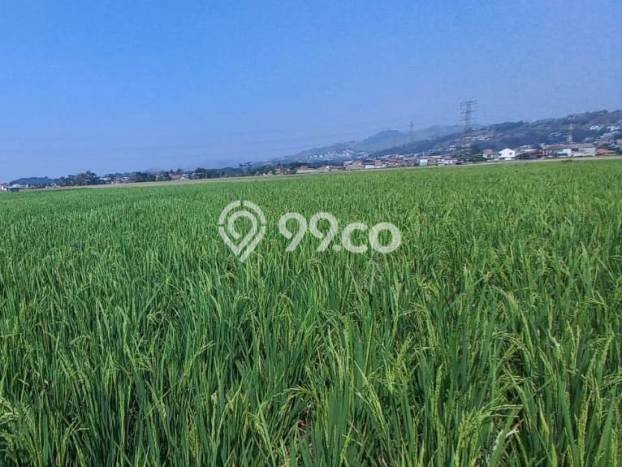 Kavling Tanah Dijual di Padalarang, Bandung Barat, Luas 3645m2 Area Strategis Kavling Tanah Dijual di Padalarang, Bandung Barat, Luas 3645m2 Area Strategis