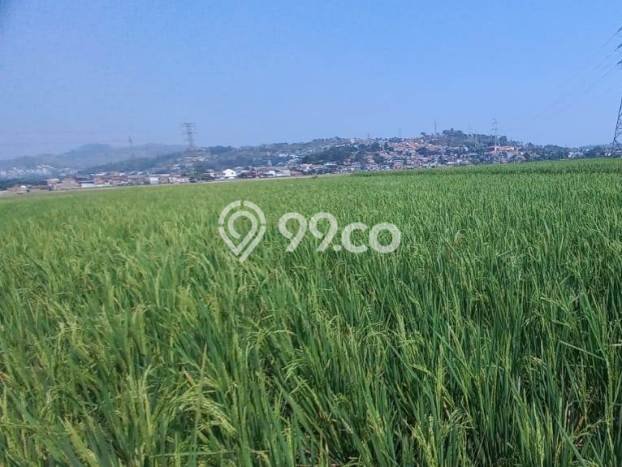 Kavling Tanah Dijual di Padalarang, Bandung Barat, Luas 3645m2 Area Strategis Kavling Tanah Dijual di Padalarang, Bandung Barat, Luas 3645m2 Area Strategis