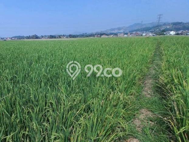 Kavling Tanah Dijual di Padalarang, Bandung Barat, Luas 3645m2 Area Strategis Kavling Tanah Dijual di Padalarang, Bandung Barat, Luas 3645m2 Area Strategis