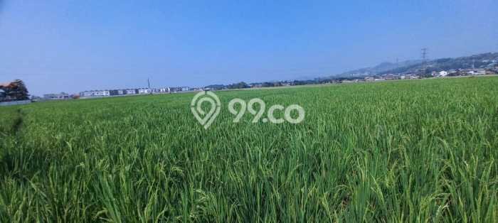 Kavling Tanah Dijual di Padalarang, Bandung Barat, Luas 3645m2 Area Strategis Kavling Tanah Dijual di Padalarang, Bandung Barat, Luas 3645m2 Area Strategis