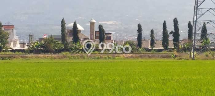 Tanah di Cileunyi, Bandung Luas 8000m2 Dijual Segera Tanah di Cileunyi, Bandung Luas 8000m2 Dijual Segera