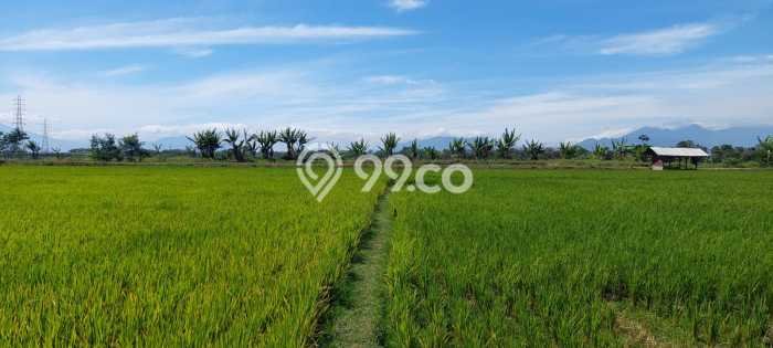 Tanah di Cileunyi, Bandung Luas 8000m2 Dijual Segera Tanah di Cileunyi, Bandung Luas 8000m2 Dijual Segera