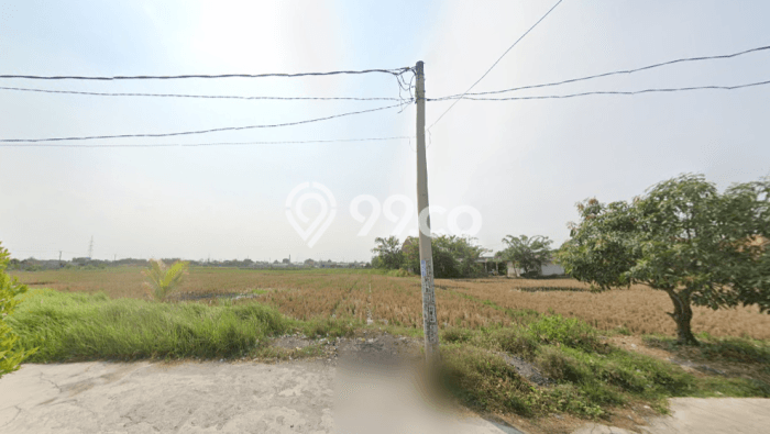 Tanah Dijual Lokasi Cikarang Utara, Bekasi Luas 31031m2 Legalitas Aman Tanah Dijual Lokasi Cikarang Utara, Bekasi Luas 31031m2 Legalitas Aman