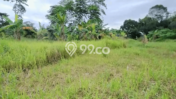 Jarang Ada! Tanah di Ciputat Punya Luas 25880m2 AJB Jarang Ada! Tanah di Ciputat Punya Luas 25880m2 AJB