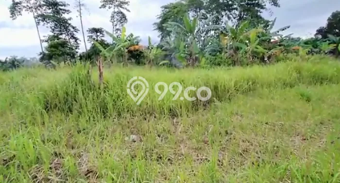 Jarang Ada! Tanah di Ciputat Punya Luas 25880m2 AJB Jarang Ada! Tanah di Ciputat Punya Luas 25880m2 AJB
