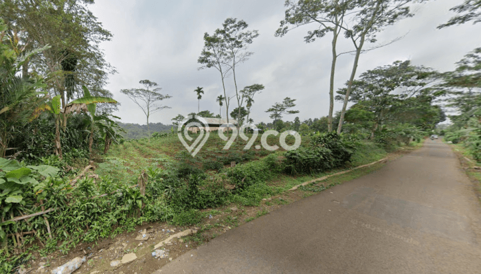 Dijual Tanah Lokasi Prima Kawasan Darangdan, Luas 9037m2m², Dekat Darangdan, Purwakarta, Purwakarta Dijual Tanah Lokasi Prima Kawasan Darangdan, Luas 9037m2m², Dekat Darangdan, Purwakarta, Purwakarta