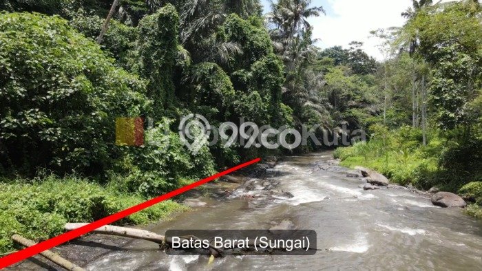 Jarang Ada! Tanah di Ubud Punya Luas 2640m2 SHM Jarang Ada! Tanah di Ubud Punya Luas 2640m2 SHM