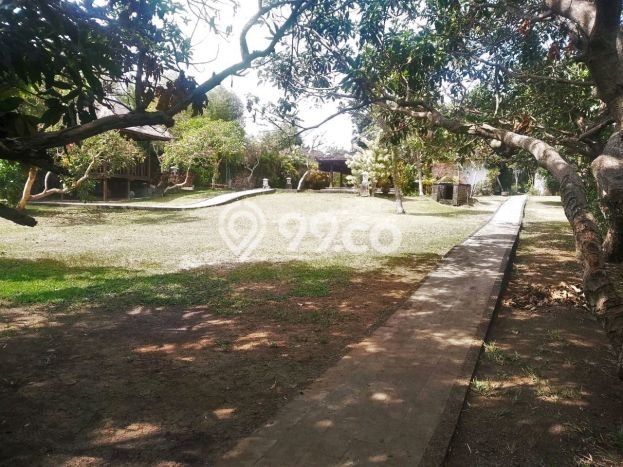 Tanah Kavling Dijual di Umalas, Badung dengan Luas Tanah 2179m2 Tanah Kavling Dijual di Umalas, Badung dengan Luas Tanah 2179m2
