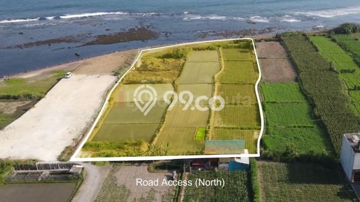 Tanah Kavling Dijual di Gianyar dengan Spesifikasi 9466m2 Tanah Kavling Dijual di Gianyar dengan Spesifikasi 9466m2