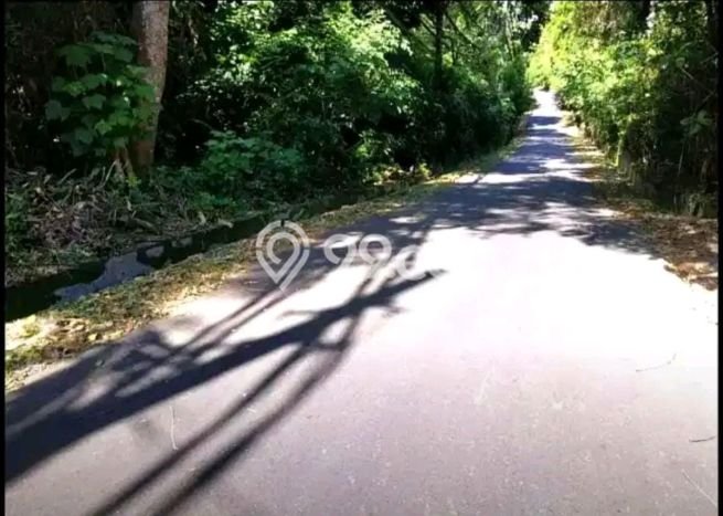 Tanah Siap Bangun Dijual di Gianyar Punya Luas 2770m2 Tanah Siap Bangun Dijual di Gianyar Punya Luas 2770m2