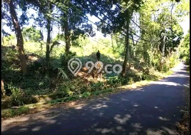 Tanah Siap Bangun Dijual di Gianyar Punya Luas 2770m2 Tanah Siap Bangun Dijual di Gianyar Punya Luas 2770m2