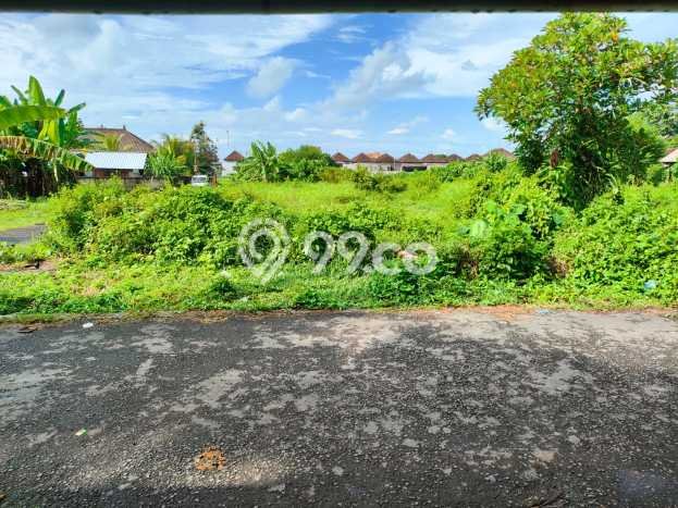 Tanah Kavling Dijual di Kedungu, Tabanan dengan Luas Tanah 3400m2 Tanah Kavling Dijual di Kedungu, Tabanan dengan Luas Tanah 3400m2
