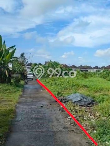 Tanah Kavling Dijual di Kedungu, Tabanan dengan Luas Tanah 3400m2 Tanah Kavling Dijual di Kedungu, Tabanan dengan Luas Tanah 3400m2