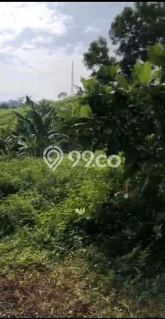Tanah Dijual Area Strategis di Sentul City Bogor 1e+06m2 Tanah Dijual Area Strategis di Sentul City Bogor 1e+06m2