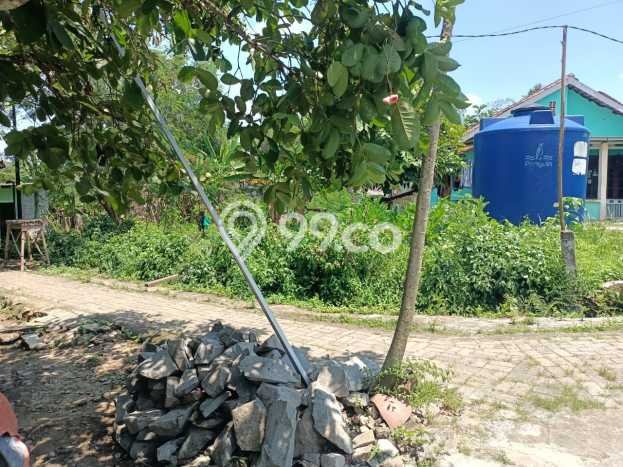 Tanah Dijual Lokasi Parung Panjang Bogor SHM Tanah Dijual Lokasi Parung Panjang Bogor SHM