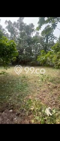 Kavling Tanah Dijual di Jagakarsa Jakarta Selatan Spesifikasi 4077m2 Kavling Tanah Dijual di Jagakarsa Jakarta Selatan Spesifikasi 4077m2