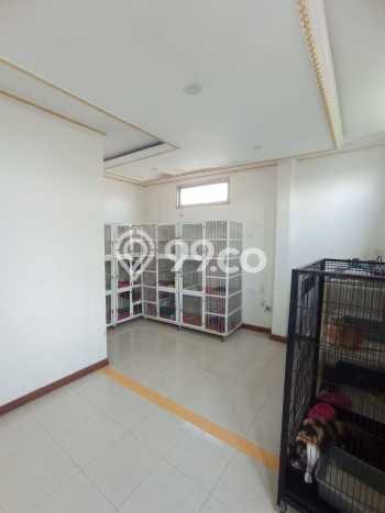 Dijual Hunian Rumah Terawat 3 KT di Duri Kosambi, Jakarta Barat Dijual Hunian Rumah Terawat 3 KT di Duri Kosambi, Jakarta Barat