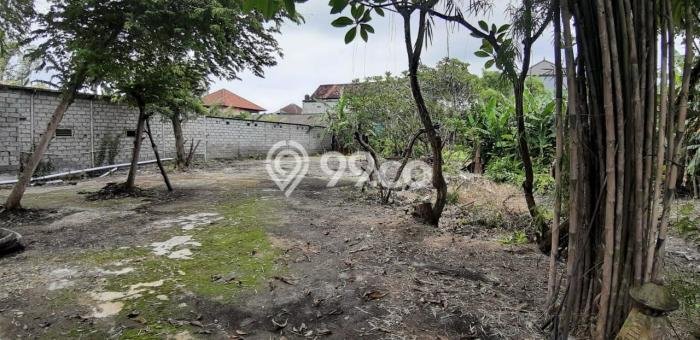 Kavling Tanah untuk Dijual di Batubulan, Gianyar, Luas 3420m2 Kavling Tanah untuk Dijual di Batubulan, Gianyar, Luas 3420m2