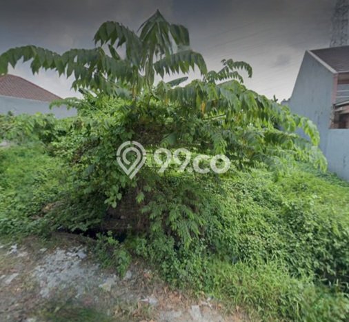 Kavling Tanah di Sambikerep Dijual Luas 365m2 Legalitas SHM Kavling Tanah di Sambikerep Dijual Luas 365m2 Legalitas SHM