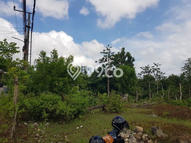 Tanah Dijual di Badung Seluas 2000m2 Strategis Tanah Dijual di Badung Seluas 2000m2 Strategis