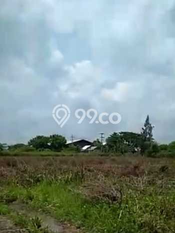 Tanah Area Berkembang Kawasan Widang, Luas 40000m², Dekat ke Fasilitas, Lingkungan Asri Tanah Area Berkembang Kawasan Widang, Luas 40000m², Dekat ke Fasilitas, Lingkungan Asri