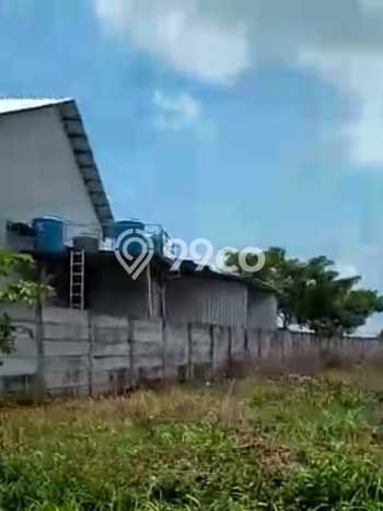 Tanah Area Berkembang Kawasan Widang, Luas 40000m², Dekat ke Fasilitas, Lingkungan Asri Tanah Area Berkembang Kawasan Widang, Luas 40000m², Dekat ke Fasilitas, Lingkungan Asri