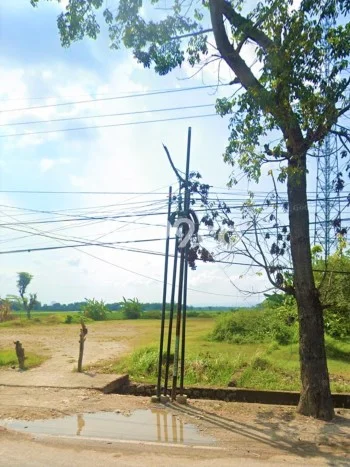 Tanah Dijual Lokasi Balen, Bojonegoro Luas 20000m2 Legalitas Aman Tanah Dijual Lokasi Balen, Bojonegoro Luas 20000m2 Legalitas Aman