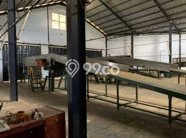 Unit Gudang Strategis di Terara, Lombok Timur Potensi Cuan Besar Unit Gudang Strategis di Terara, Lombok Timur Potensi Cuan Besar